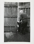 Ireland; McAdams, Dona Ann; 1987; 1987:0089:0007