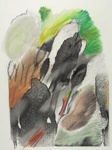Untitled [Leaves and colors]; Lyons, Joan; ca. 1970s; 1987:0090:0011