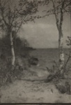 Untitled [Trees by the shore]; Bland, William; undated; 1974:0056:0008