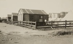 [A camp]. ; Chadwick, Harry W. (1860-1933); 1906; 1978:0151:0017