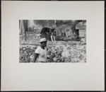 [Man walking in front of stone wall with dog on it]; Christian, John; 1969; 1982:0075:0003