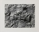 Untitled [Glove]; Gioberto, Sergio; undated; 2000:0094:0005