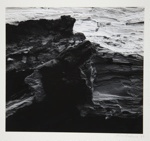 [Untitled, abstract natural form]; Wells, Alice; 1963; 1972:0287:0095