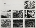 Untitled [Tracks]; Gioberto, Sergio; undated; 2000:0094:0004