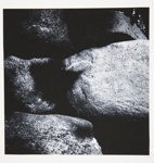 [Untitled, abstraction of a natural form]; Wells, Alice; 1964; 1972:0287:0073