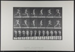 Running full speed. [M. 62]; Da Capo Press; Muybridge, Eadweard; 1887; 1972:0288:0014 