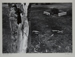 Rochester 69; Rice, Leland; 1969; 1982:0052:0001