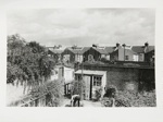 Tooting Bec; McAdams, Dona Ann; 1987; 1987:0089:0002
