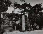 A Stone Monument, A Bronze Statue, Pine Trees; Tsuchida, Hiromi; 1983; 1993:0005:0024