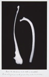 Bone Totem; Norton, Karen Lavallee; undated; 2011:0007:0005