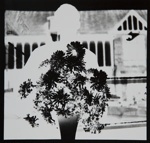 Self Portrait; Hayes, R. Eugene; 1967; 1971:0268:0001