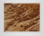 Nine Desert Snowballs; Pfahl, John; 1978; 1981:0015:0004