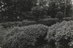 Untitled [Yorkshire]; Dane, Bill; ca. 1972; 2011:0014:0001
