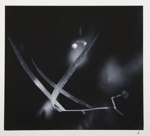 [Untitled, abstract natural form]; Wells, Alice; ca. 1963; 1973:0142:9999