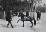 Untitled [Child riding horse]; Lartigue, Jacques-Henri; undated; 1977:0091:0005