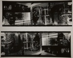 [Untitled, multiple images]; Wells, Alice; 1968; 1972:0287:0240