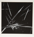 [Untitled, image of plants and stars]; Wells, Alice; ca. 1962; 1972:0287:0218