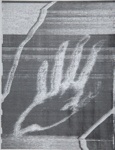 Hands / The Echo Of the Hand Picked Up By a Telecopier Across the Room; Sheridan, Sonia Landy; ca. 1974; 1981:0116:0022
