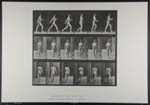 Walking. [M. 10]; Muybridge, Eadweard; 1887; 1972:0288:0007 