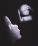 Illuminated Fetus; Norton, Karen Lavallee; undated; 2011:0007:0004