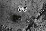 Untitled [Eyes]; Mertin, Roger; 1963; 1998:0005:0029