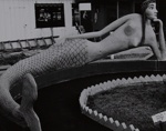 Untitled [Mermaid]; Starr, Nina Howell; ca. late 1960s; 1971:0314:0001