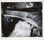 [Untitled, abstraction of a natural form]; Wells, Alice; ca. 1965; 1972:0287:0072