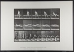 Lying on a couch and turning over on side. [M. 259]; Da Capo Press; Muybridge, Eadweard; 1887; 1972:0288:0048