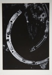 [Untitled, Abstraction of natural forms]; Wells, Alice; ca. 1965; 1972:0287:0180