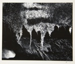 [Untitled, abstraction of a natural form]; Wells, Alice; 1963; 1972:0287:0084