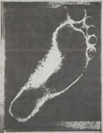 Foot; Sheridan, Sonia Landy; 1973; 1981:0117:0011