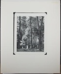 Untitled [Woodland cemetery.]; Enos, Franklin; ca. early 1970s; 1972:0081:0001