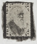 Darwin; Natal, Judy L.; 1998; 2011:0024:0004