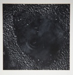 [Untitled, Abstraction of natural forms]; Wells, Alice; ca. 1965; 1972:0287:0175
