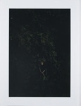 Untitled [Woods at night]; Larson, Nate; undated; 2011:0015:0007