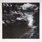 [Untitled, Abstraction of natural forms]; Wells, Alice; ca. 1965; 1972:0287:0174