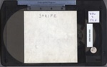 Strife; 2020:0002:0502