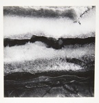 [Untitled, abstraction of a natural form]; Wells, Alice; 1963; 1972:0287:0085