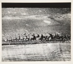 [Untitled, image of wood-grain] ; Wells, Alice; ca. 1964; 1972:0287:0077