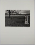 Untitled [Gas pump and dog] ; Sickles, Ed; 1974; 1978:0129:0004