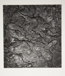 [Untitled, Abstraction of wet stone]; Wells, Alice; ca. 1965; 1972:0287:0179