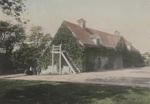 Untitled [Ivy covered house]; Lamson Studio; 1901; 1986:0031:0001
