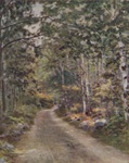 Untitled [Path]; Lamson Studio; 1902; 1986:0023:0008