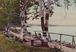 Birches on Rangeley Lake; Lamson Studio; 1904; 1986:0023:0007