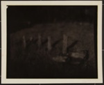 Untitled [Field with wooden posts]; Connor, Linda; 1974; 1984:0004:0002