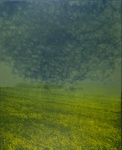 Untitled [Field]; Lyons, Joan; 1971; 2000:0066:0002