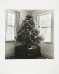 Untitled [Christmas tree]; Kaida Knapp, Tamarra; ca. 1977; 2011:0025:0004