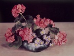 Untitled [Geraniums]; Genesee Camera Club; undated; 1978:0116:0001