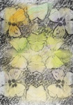 Untitled [Flowers]; Lyons, Joan; ca. 1979; 1987:0090:0020