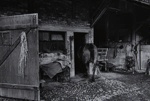 Untitled [Horses]; Saur, Francoise; ca. 1970s; 1986:0017:0005